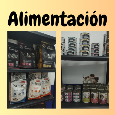 alimentación Los Amigos de María