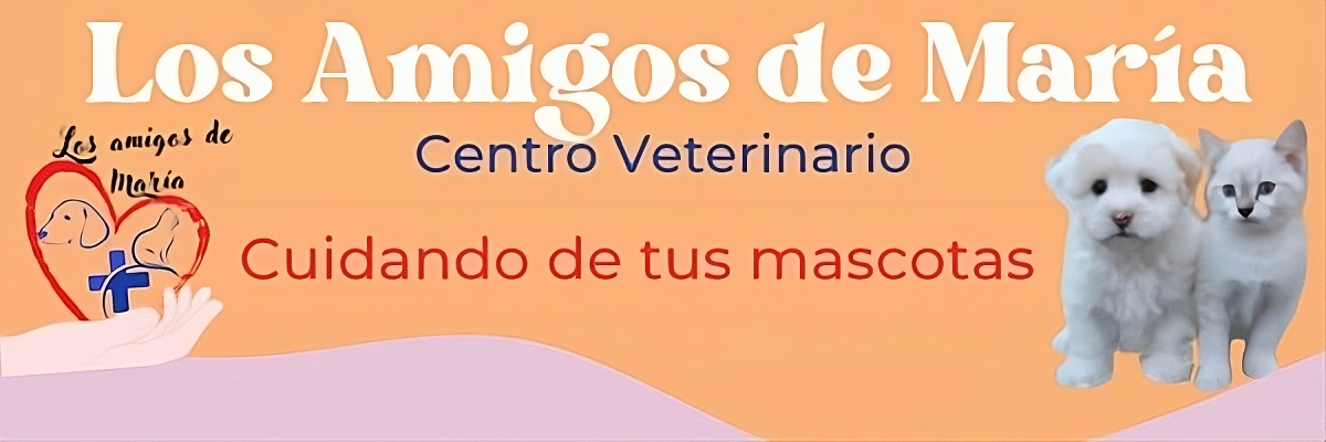 Centro Veterinario Los Amigos de María Bellavista Sevilla