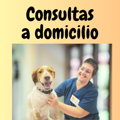 Consultas a domicilio