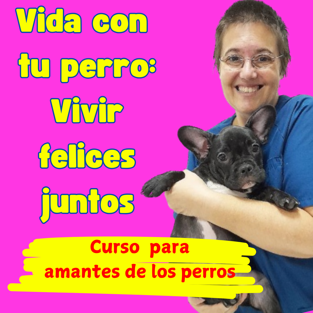 vida con tu perro curso