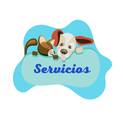 Servicios Clínica Veterinaria Los Amigos de María Bellavista Sevilla